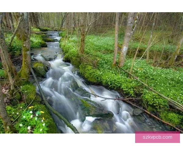 看清楚我是怎么进入你的图片，开启一场奇妙的视觉之旅！ 