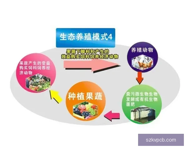 乐视网下载指南全方位掌握高清影视智能服务体验生态拓展策略秘笈
